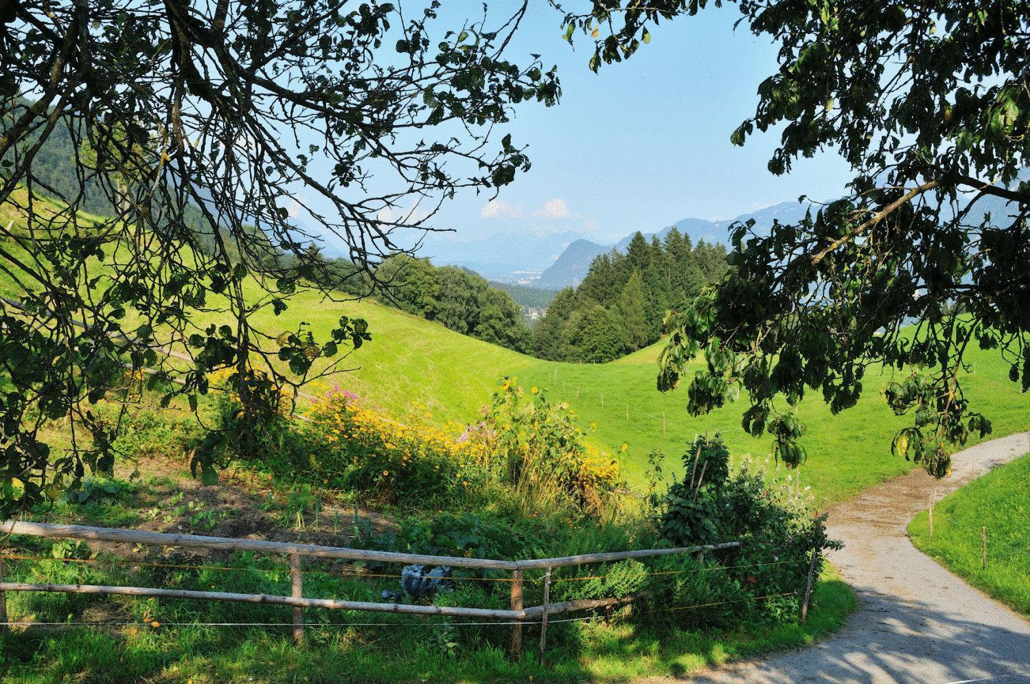 Gasthof Und Hotel Rieder Gmbh Jenbach Luaran gambar